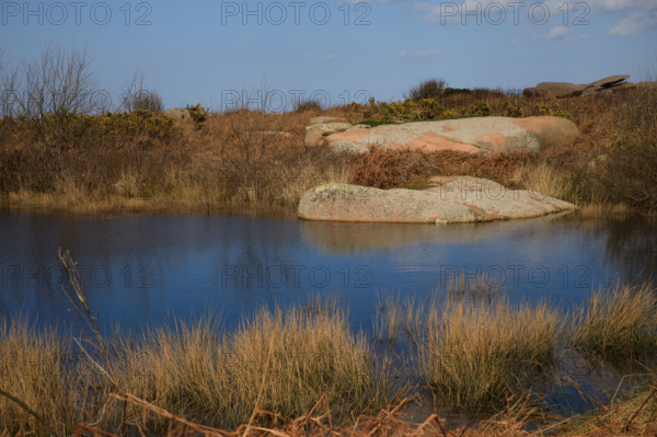 france, région Bretagne, Côtes d'Armor, côte de granit rose, Trégastel,, presqu'ile Renote,