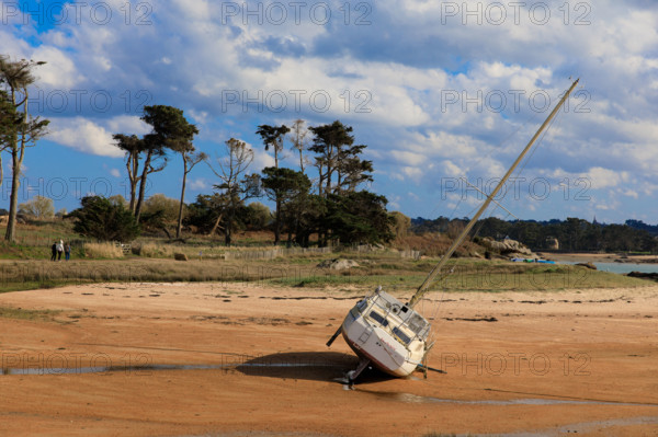 france, région Bretagne, Côtes d'Armor, côte de granit rose, Trégastel,, presqu'ile Renote,
