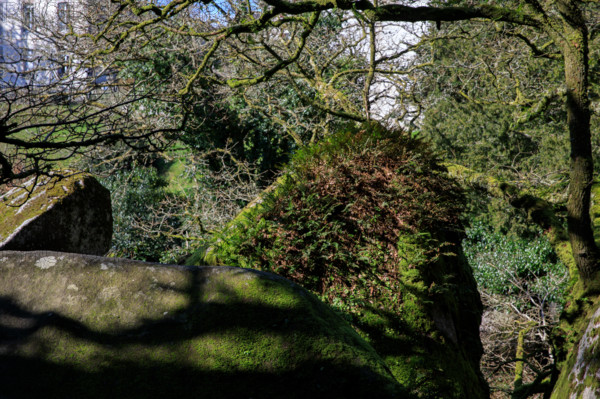 FRance, région Bretagne, Finistère, Huelgoat, les rochers, cahos de huelgoat,