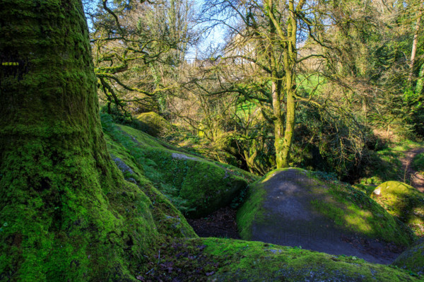 FRance, région Bretagne, Finistère, Huelgoat, les rochers, cahos de huelgoat,