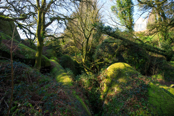 FRance, région Bretagne, Finistère, Huelgoat, les rochers, cahos de huelgoat,