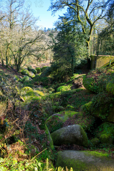 FRance, région Bretagne, Finistère, Huelgoat, les rochers, cahos de huelgoat,