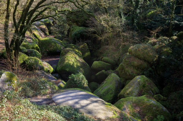 FRance, région Bretagne, Finistère, Huelgoat, les rochers, cahos de huelgoat,