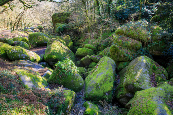 FRance, région Bretagne, Finistère, Huelgoat, les rochers, cahos de huelgoat,