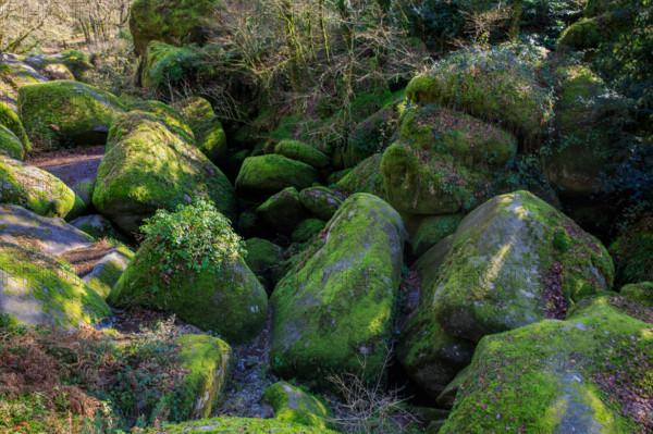 FRance, région Bretagne, Finistère, Huelgoat, les rochers, cahos de huelgoat,