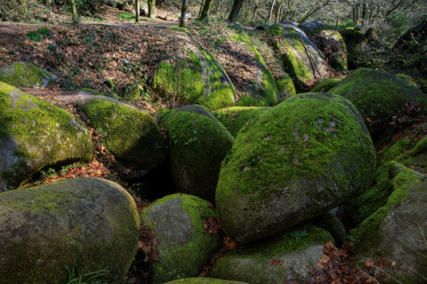FRance, région Bretagne, Finistère, Huelgoat, les rochers, cahos de huelgoat,