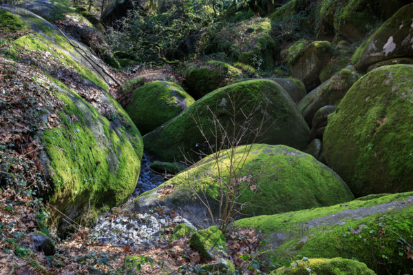 FRance, région Bretagne, Finistère, Huelgoat, les rochers, cahos de huelgoat,
