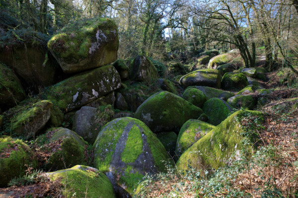 FRance, région Bretagne, Finistère, Huelgoat, les rochers, cahos de huelgoat,