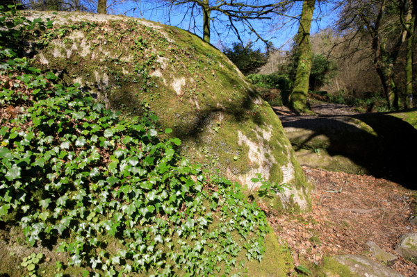 FRance, région Bretagne, Finistère, Huelgoat, les rochers, cahos de huelgoat,