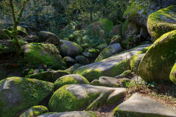 FRance, région Bretagne, Finistère, Huelgoat, les rochers, cahos de huelgoat,