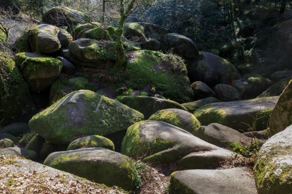 FRance, région Bretagne, Finistère, Huelgoat, les rochers, cahos de huelgoat,