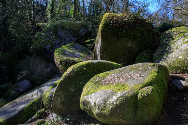 FRance, région Bretagne, Finistère, Huelgoat, les rochers, cahos de huelgoat,