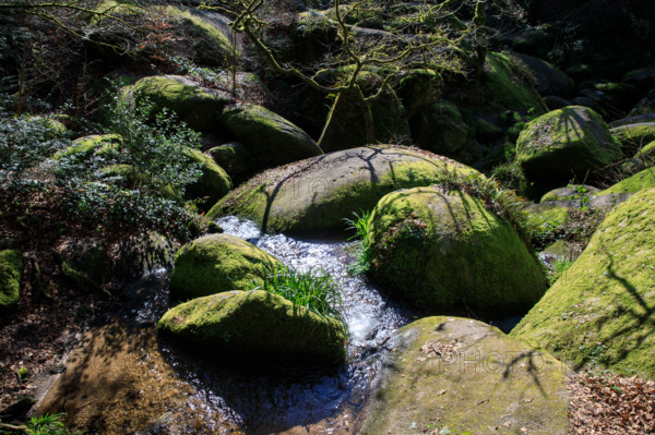 FRance, région Bretagne, Finistère, Huelgoat, les rochers, cahos de huelgoat,