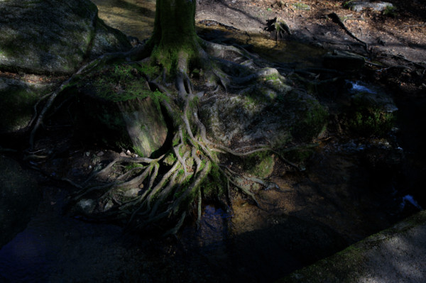 FRance, région Bretagne, Finistère, Huelgoat, les rochers, cahos de huelgoat,