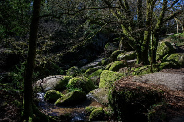 FRance, région Bretagne, Finistère, Huelgoat, les rochers, cahos de huelgoat,