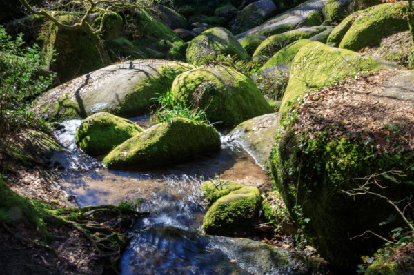 FRance, région Bretagne, Finistère, Huelgoat, les rochers, cahos de huelgoat,