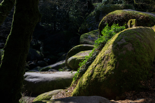 FRance, région Bretagne, Finistère, Huelgoat, les rochers, cahos de huelgoat,