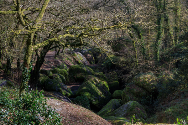 FRance, région Bretagne, Finistère, Huelgoat, les rochers, cahos de huelgoat,