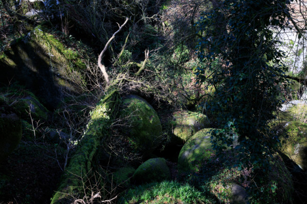 FRance, région Bretagne, Finistère, Huelgoat, les rochers, cahos de huelgoat,