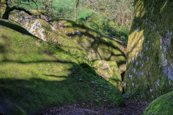 FRance, région Bretagne, Finistère, Huelgoat, les rochers, cahos de huelgoat,