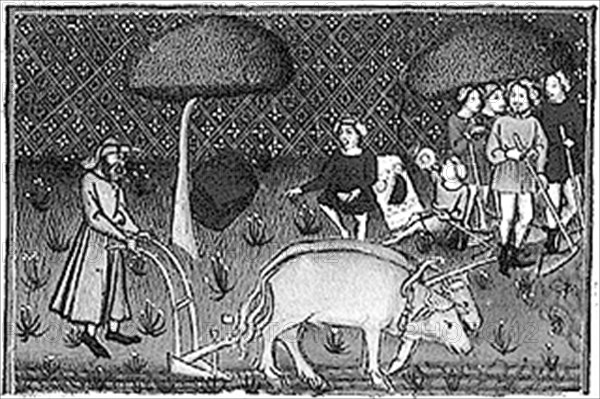 Ploughing