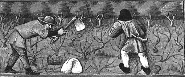 Peasants cultivating vines