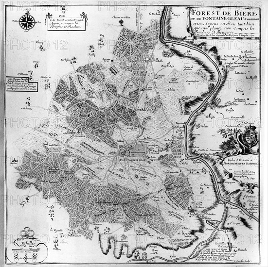 Plan of the forest of Fontainebleau -