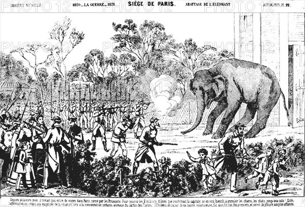 Siège de Paris. 1870. On abat l'éléphant du jardin des Plantes