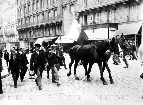 Réquisition des chevaux