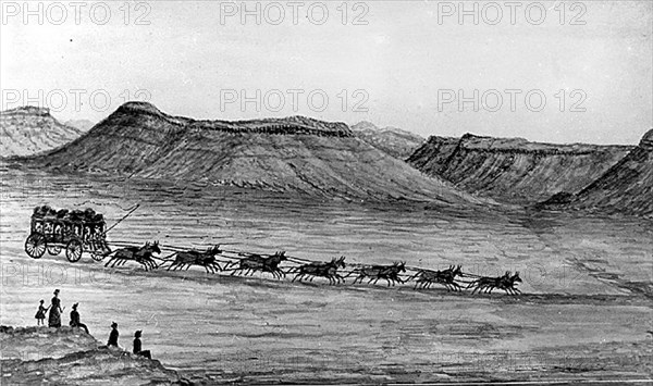 Afrique du Sud. 1877. Traversée du désert entre Captown et Kimberley