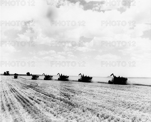 Etats-Unis. Après 1945. L'agriculture extensive