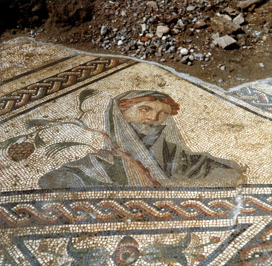 Gallo-Roman mosaic Vienne (Isère)