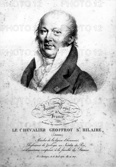 Le chevalier Geoffroy Saint Hilaire