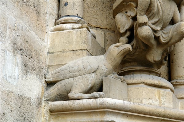 Cathédrale Notre-Dame de Paris