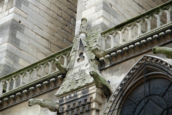 Cathédrale Notre-Dame de Paris