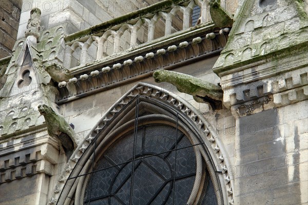 Cathédrale Notre-Dame de Paris