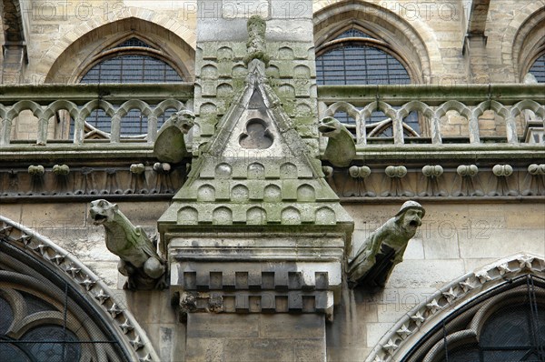 Cathédrale Notre-Dame de Paris