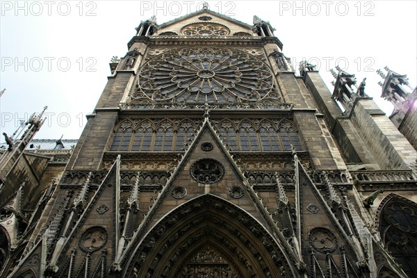 Cathédrale Notre-Dame de Paris