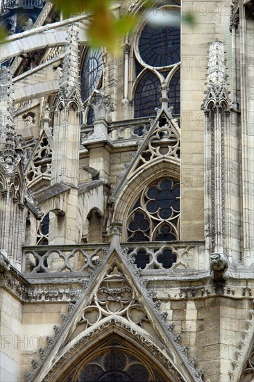 Notre-Dame Cathedral in Paris