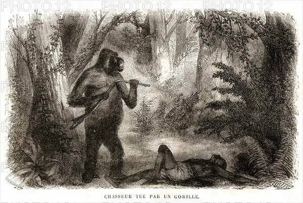 1864. Afrique. Chasseur tué par un gorille.
