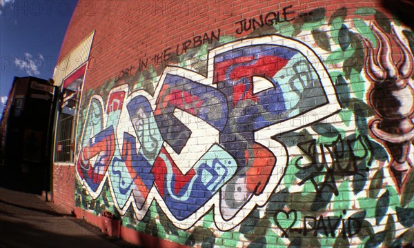 Montréal - Québec. Art populaire. Peintures de rue.