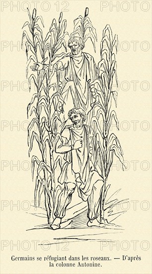 Germanic people take refuge amongst the reeds.