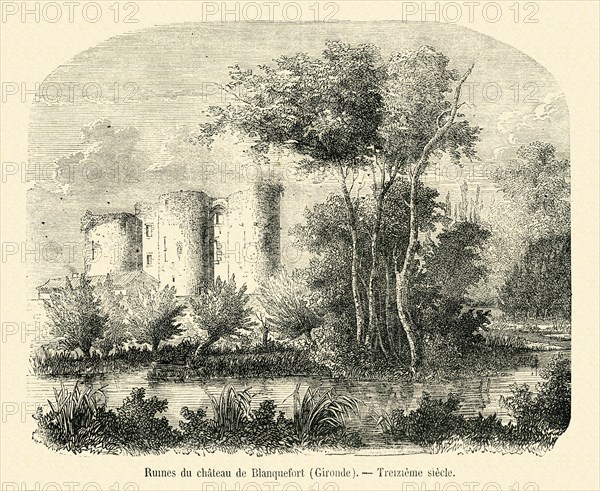 Ruines du château de Blanquefort (Gironde).