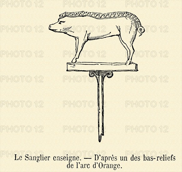 Le Sanglier (enseigne).