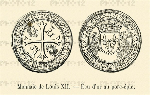 Coin of Louis XII.