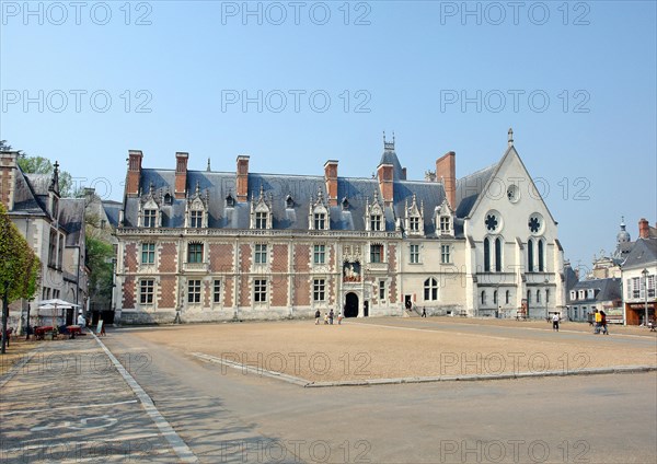 The Royal Castle in Blois.