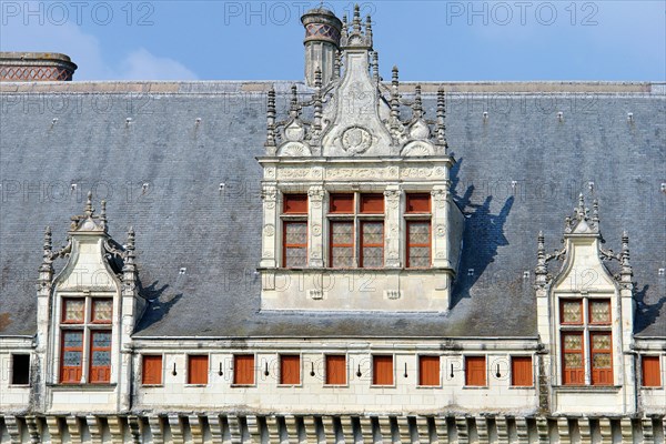 Château d'Azay-le-Rideau.