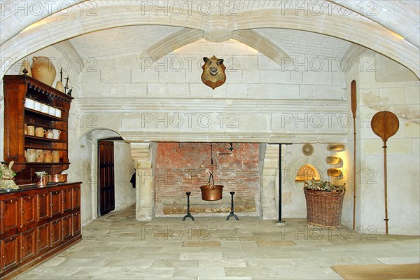 Castle of Chenonceau