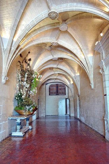 Château de Chenonceau