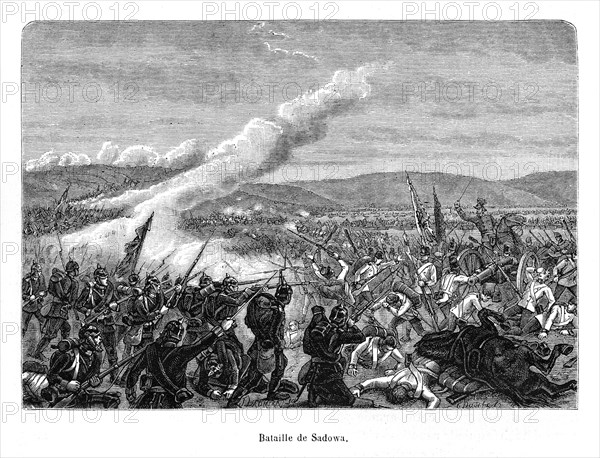 La bataille de Sadowa eut lieu sur un plateau entre l'Elbe et la Bistritz, non loin de la ville tchèque de Hradec Králové (en allemand Königgrätz), le 3 juillet 1866 dans le cadre de la Guerre austro-prussienne. Ce fut une victoire du Royaume de Prusse sous le commandement du général Helmuth von Moltke.